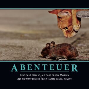 Demotivator: Abenteuer — A3 Poster