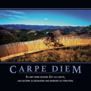 Demotivator: Carpe Diem — A3 Poster