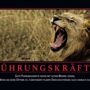 Demotivations-Kalender — alle 12 Motive als A3 Poster
