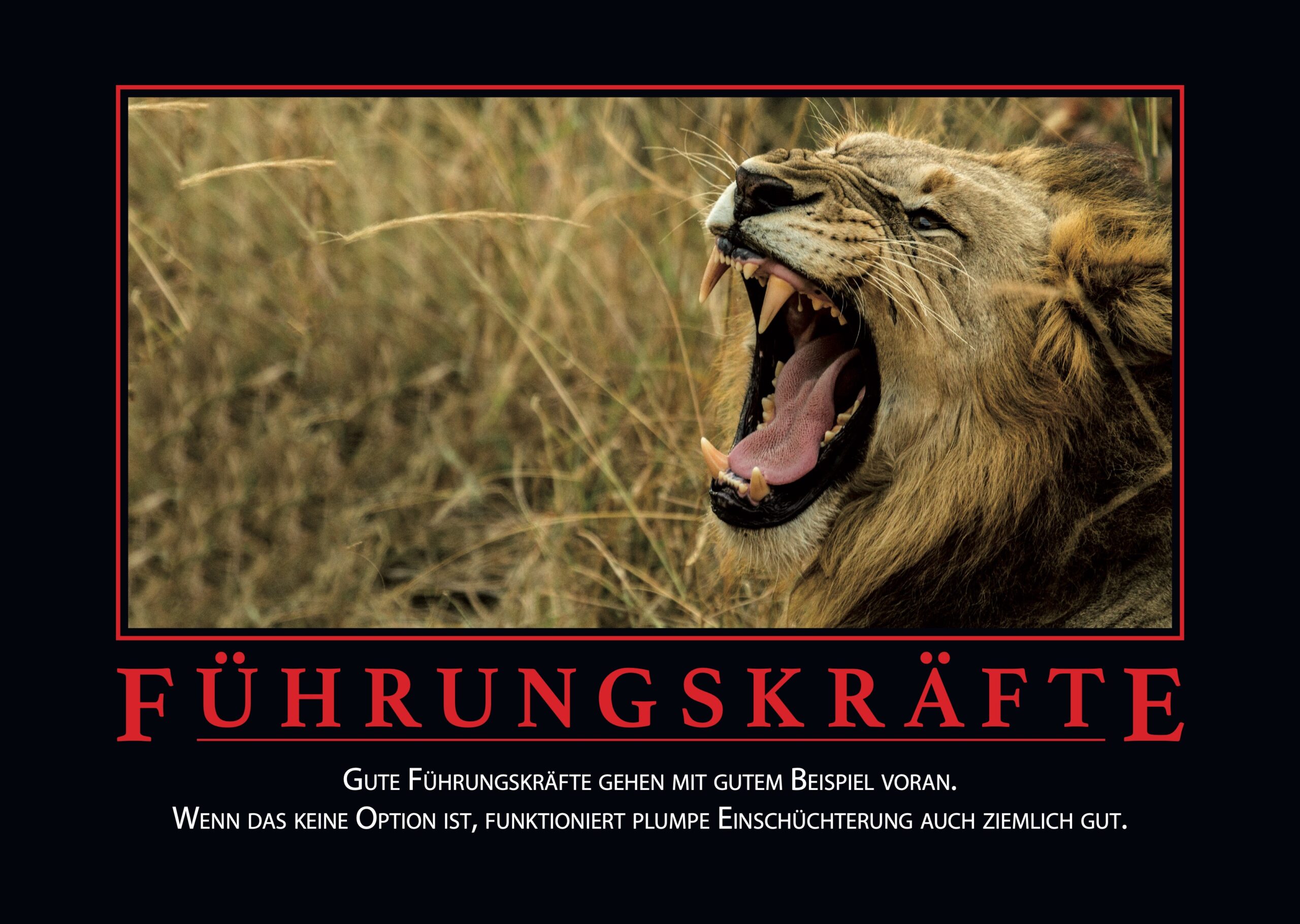 Demotivatoren auf Deutsch: Weil Realismus die neue Motivation ist