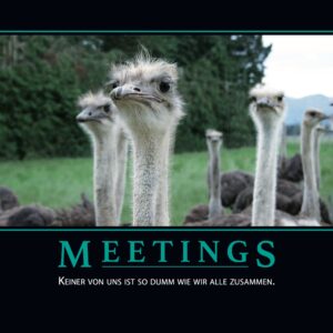 Demotivator: Meetings — A3 Poster